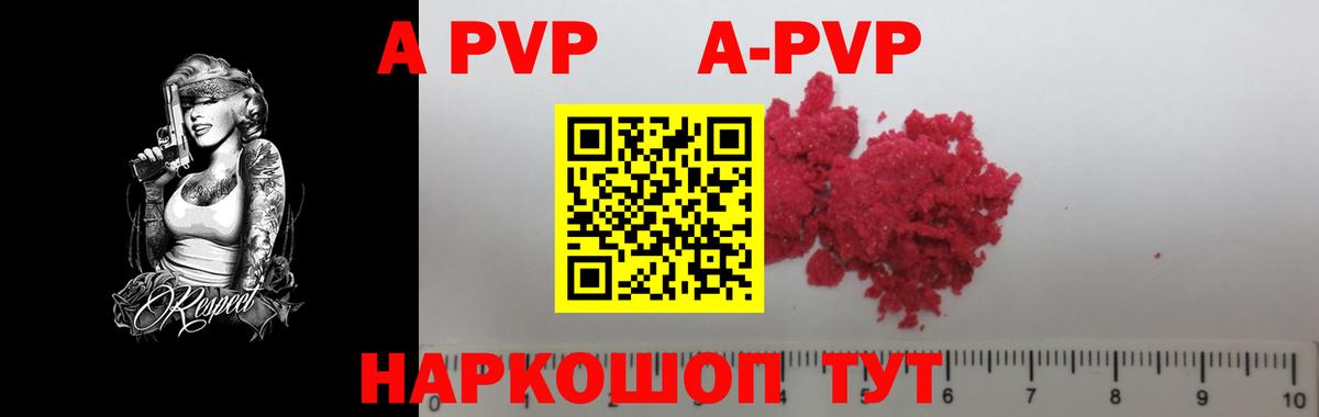 A PVP СК Солнечногорск