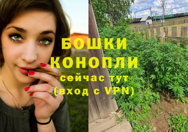 альфа пвп Заводоуковск