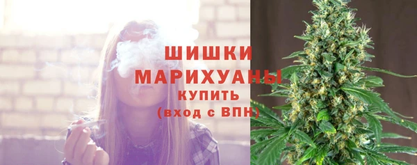 прущие грибы Ленск