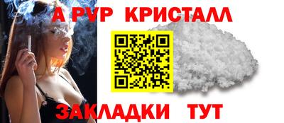 тгк Кингисепп