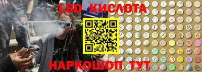 стаф Кинель