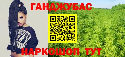 стаф Кинель