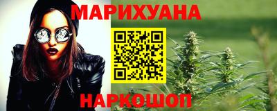 тгк Кингисепп