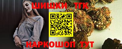 тгк Кингисепп