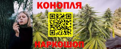 тгк Кингисепп