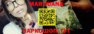 тгк Кингисепп