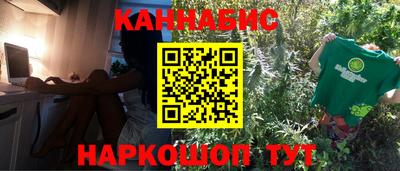 тгк Кингисепп