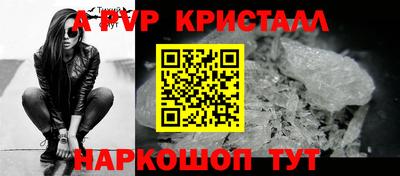стаф Кинель