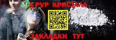 тгк Кингисепп