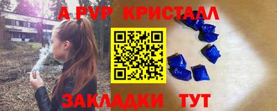 стаф Кинель