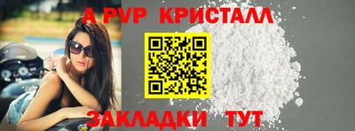 стаф Кинель
