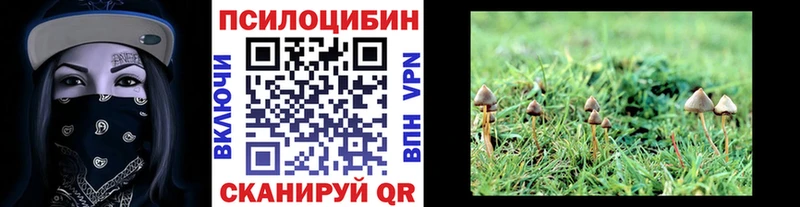 кракен сайт  Солнечногорск  Псилоцибиновые грибы Cubensis 