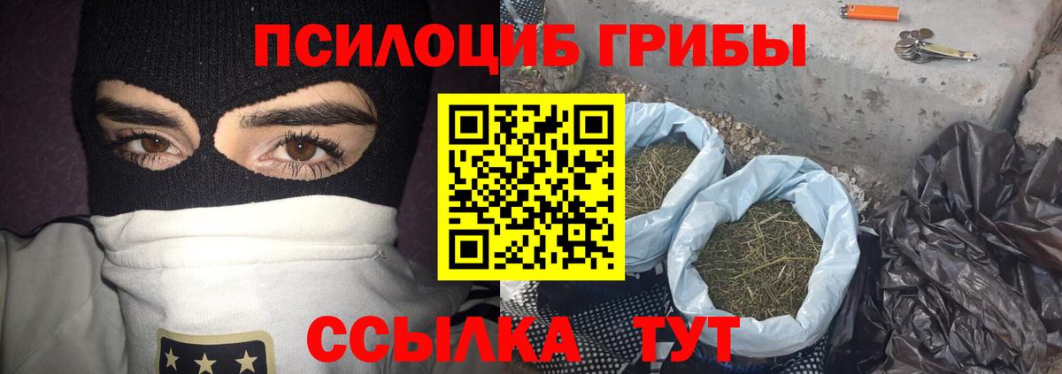 Псилоцибиновые грибы GOLDEN TEACHER  где найти наркотики  Солнечногорск 