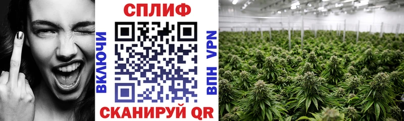 Канабис гибрид  OMG маркетплейс  Солнечногорск  магазин продажи наркотиков 